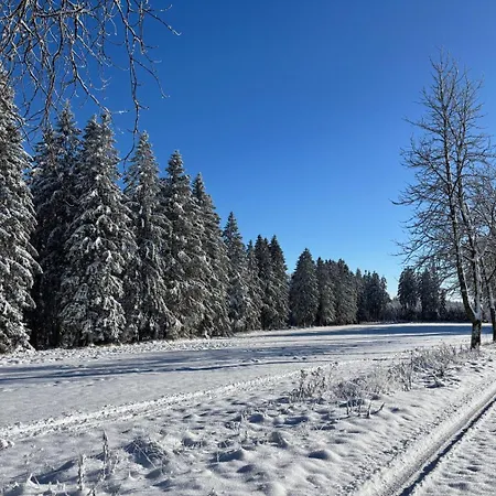 Haus Aktiv Panorama2 * Winterberg