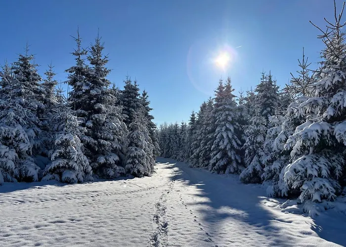 Apartment Haus Aktiv Panorama2 Winterberg