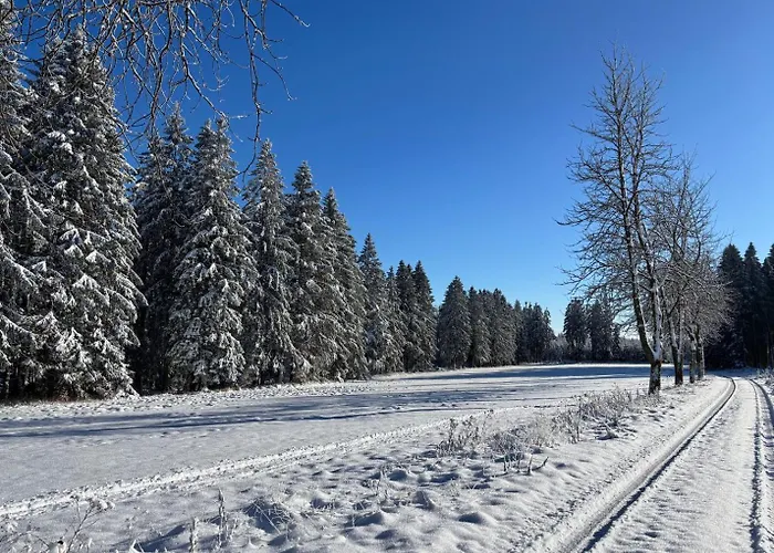Haus Aktiv Panorama2 * Winterberg